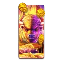 Buffalo
King slot game